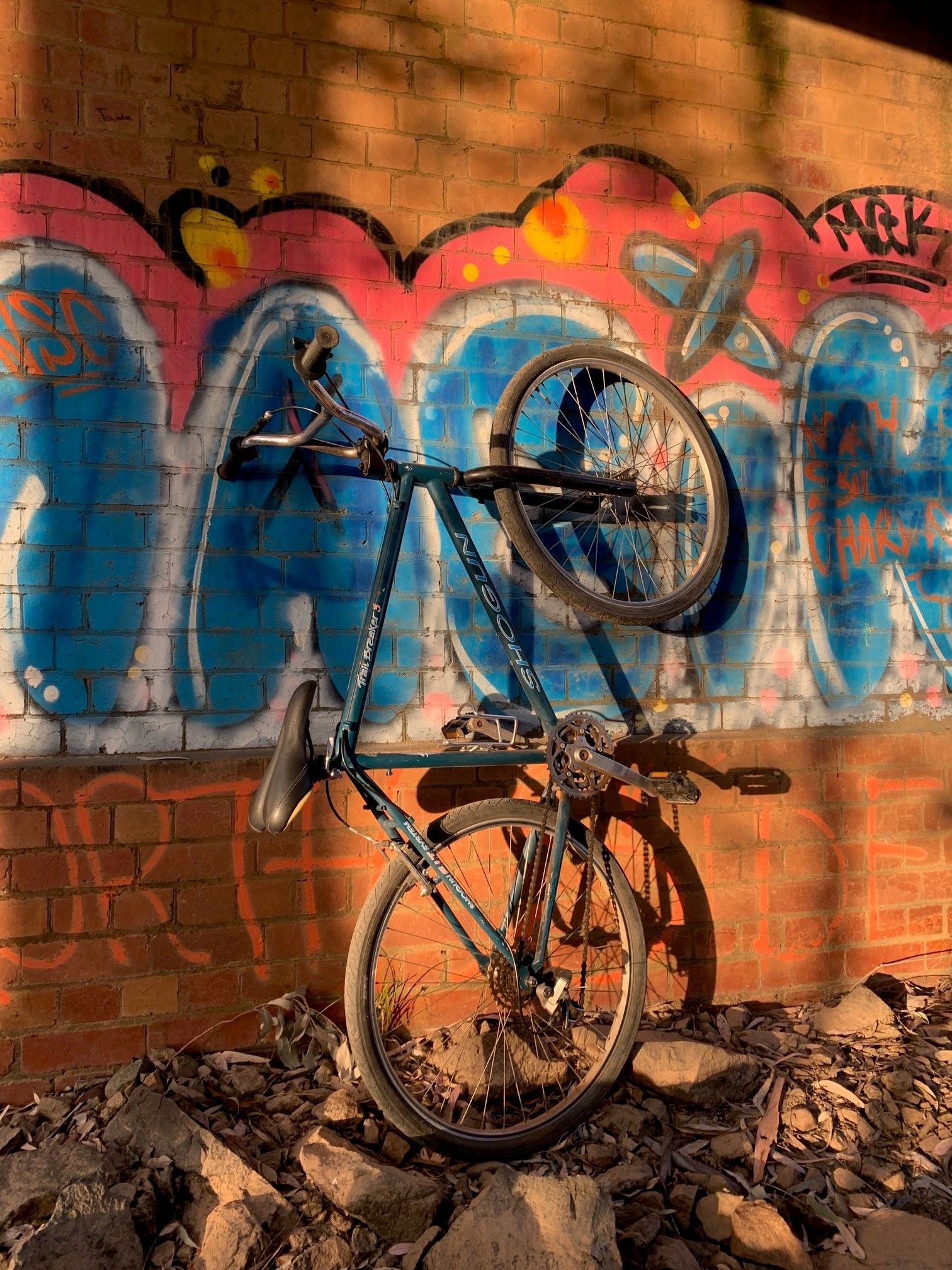 shogun bike.jpg
