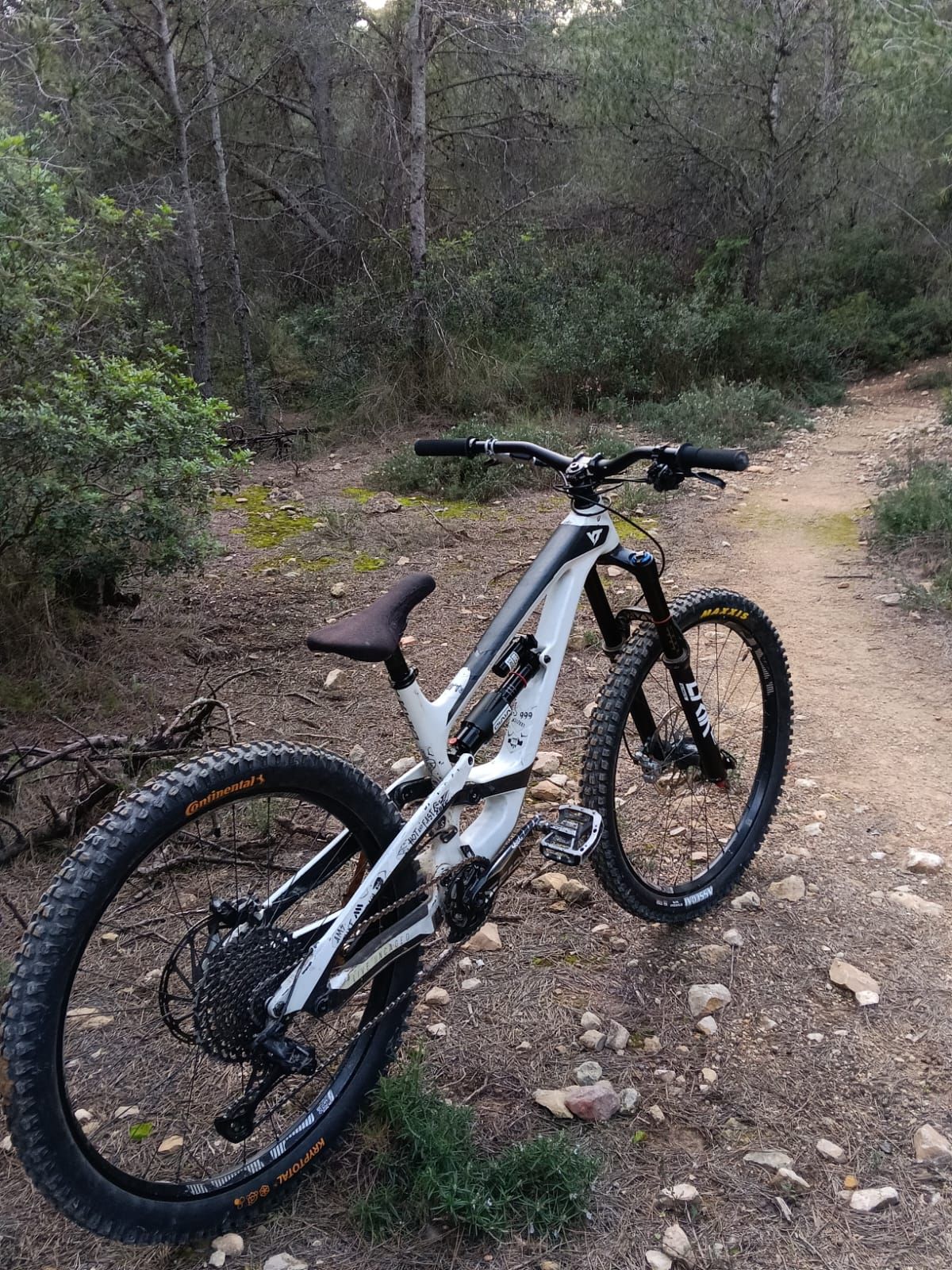 WhatsApp Image 2026-01-20 at 21.02.50.jpeg