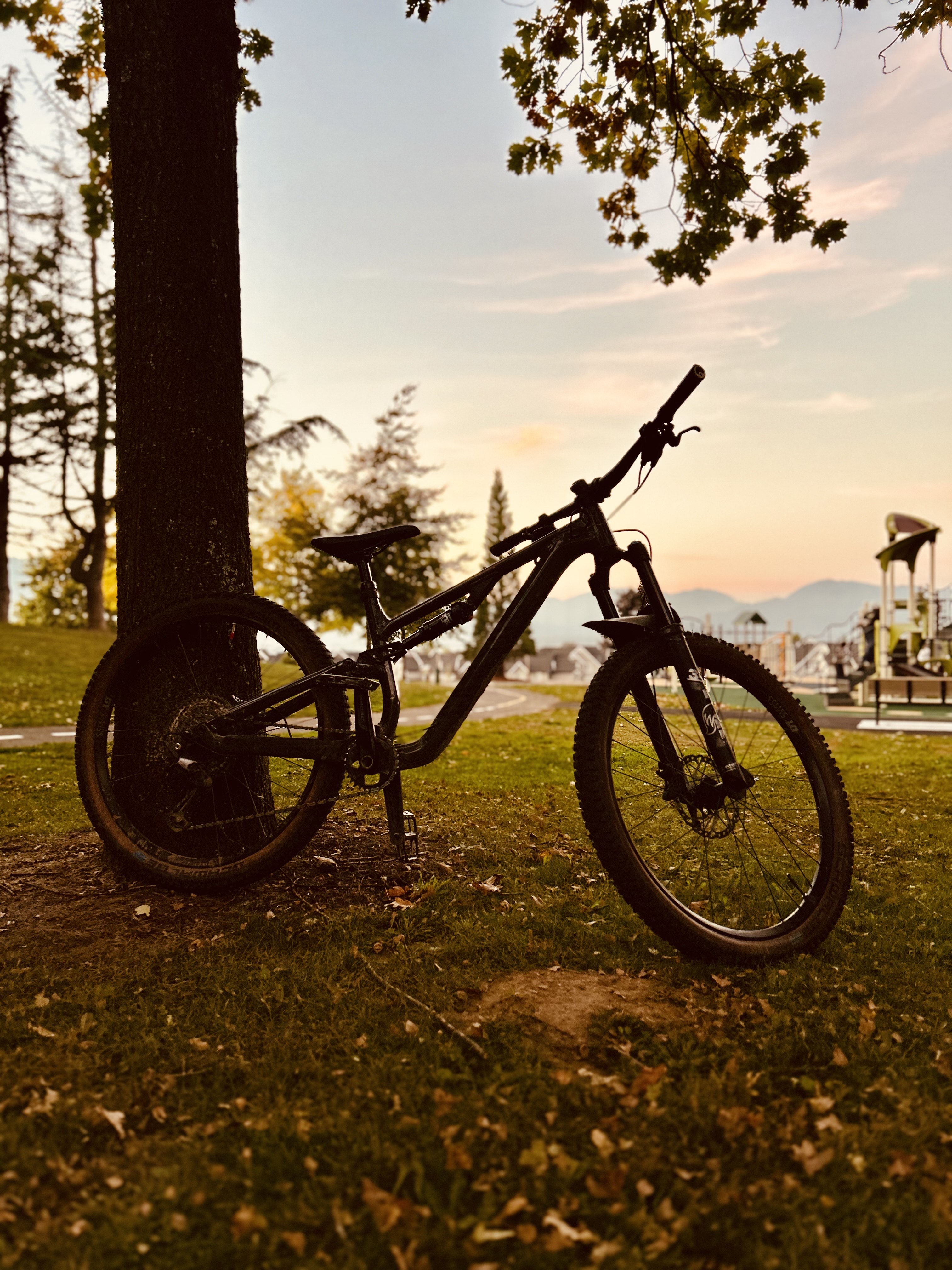 2025 Canyon Neuron 6